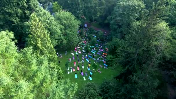 Grupp människor som motionerar i stadens offentliga park — Stockvideo