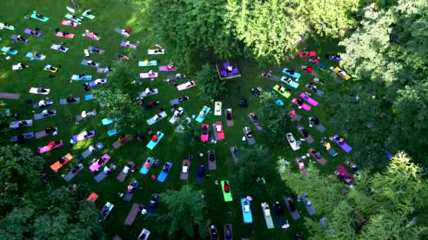 Groupe de personnes faisant de l'exercice dans le parc public de la ville — Video