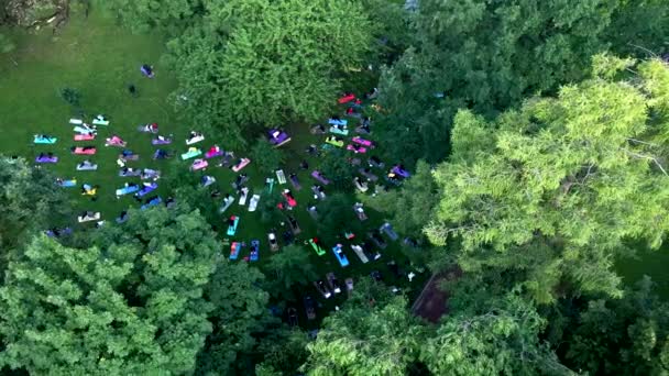 Groep mensen die oefeningen doen in het stadspark — Stockvideo