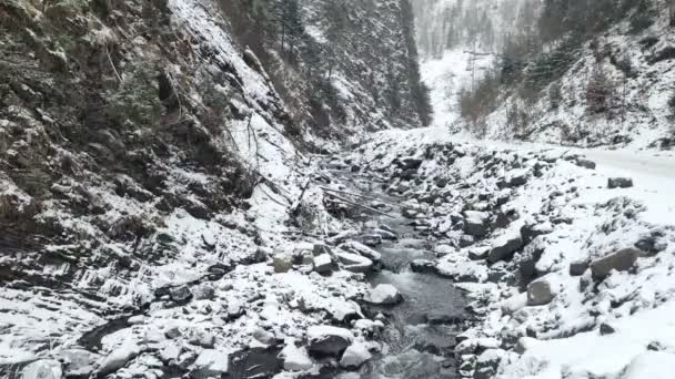 Vue du ruisseau dans le canyon des montagnes d'hiver — Video