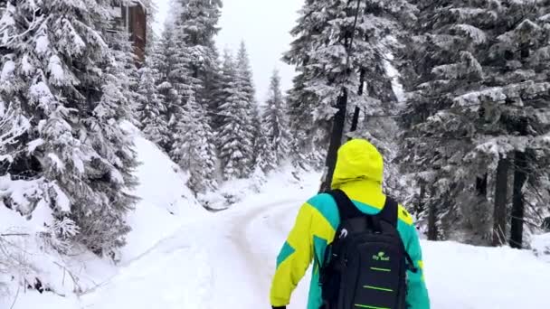 Mann spaziert durch verschneiten Wald und genießt die Aussicht — Stockvideo