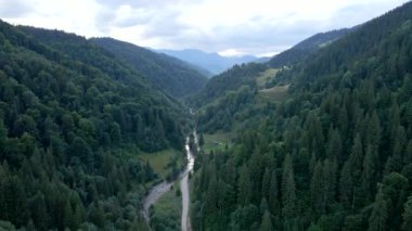 Ormandaki Karpat Nehri 'nin havadan görünüşü
