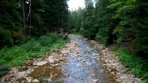 Andare avanti sopra il fiume di montagna — Video Stock