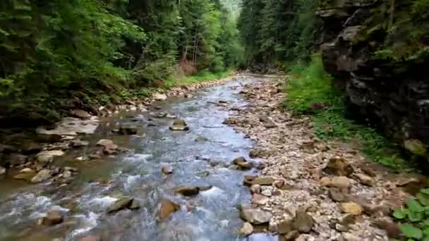 Avanzando sobre el río de montaña — Vídeos de Stock
