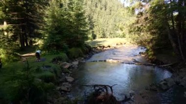 Kadın, Mountain River Plajı 'nda yoga yapıyor.