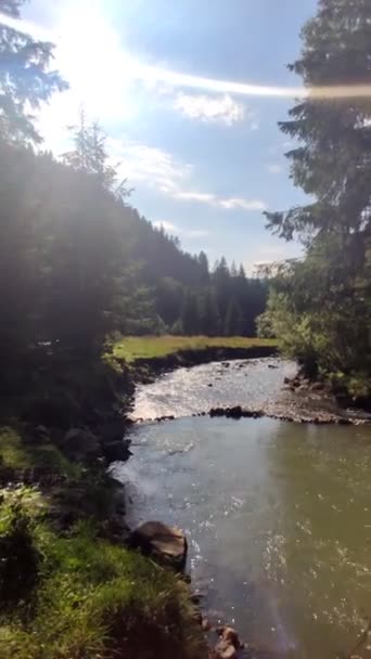 Panoramablick auf Berge Fluss im Wald — Stockvideo