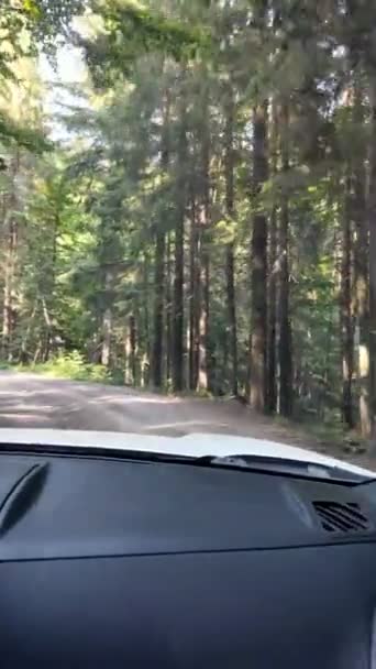 도로를 따라 수 브 차를 운전하는 모습 — 비디오