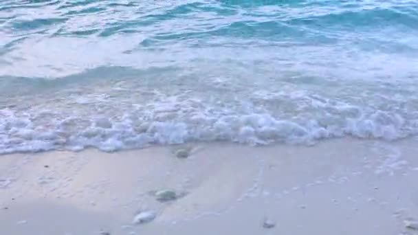 Close up sea waves — Stock Video