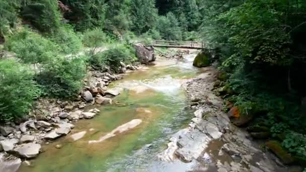 Andare avanti sopra il fiume di montagna — Video Stock