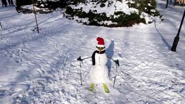 Muñeco de nieve en equipo de esquí — Vídeos de Stock