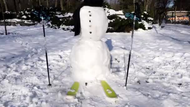 Boneco de neve em equipamento de esqui — Vídeo de Stock