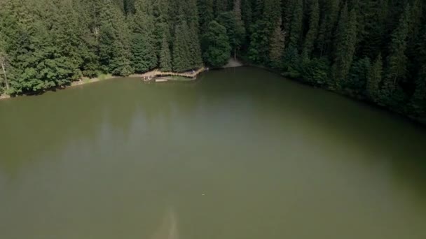 Vista aérea del mostrador de observación en el lago Synevyr en las montañas de los Cárpatos de Ucrania — Vídeos de Stock