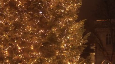 Şehir yılbaşı ağacı manzarası