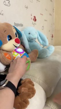 Renkli Doldurulmuş Oyuncaklarla Nişanlı Çocuk.