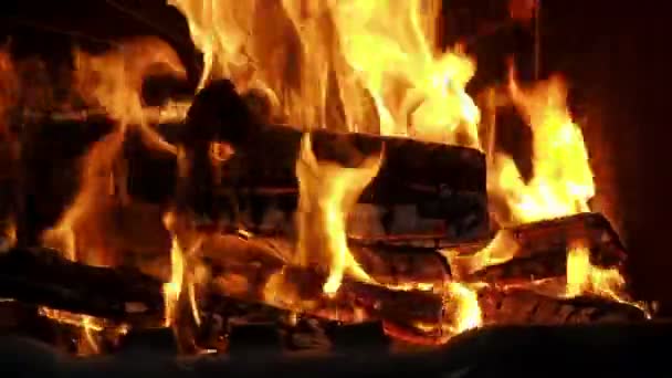 Brightly burning wood in the fireplace — Stock Video