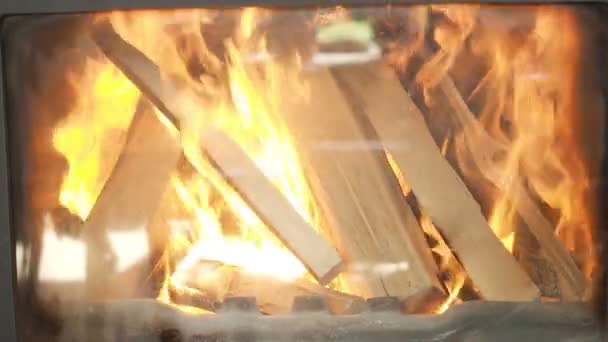 Wood in the fireplace inflame — Stock Video