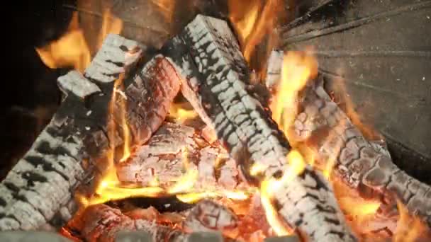 Burning down wood close up — Stock Video