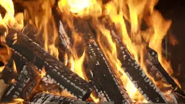 Fire in the fireplace close up — Stock Video
