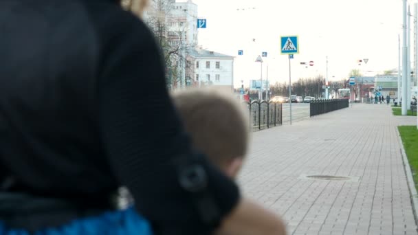 Madre e figlio passeggiando nel parco — Video Stock