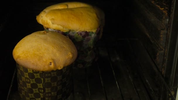 Жінка виймає гарячі пироги з печі — стокове відео