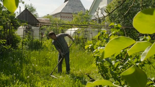 Seorang pria di memotong rumput dengan cara tradisional dengan sabit pada hari yang cerah — Stok Video