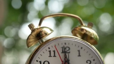 Keneler makro clock, yakın çekim