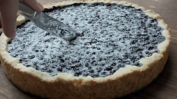 Cutting a blueberry pie into pieces — Stock Video