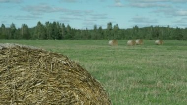 Saman balya bir çayırda. Yaz ile kırsal alanda saman balya, pan