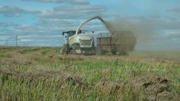 Trattore agricolo che raccoglie una cannuccia nel campo — Video Stock