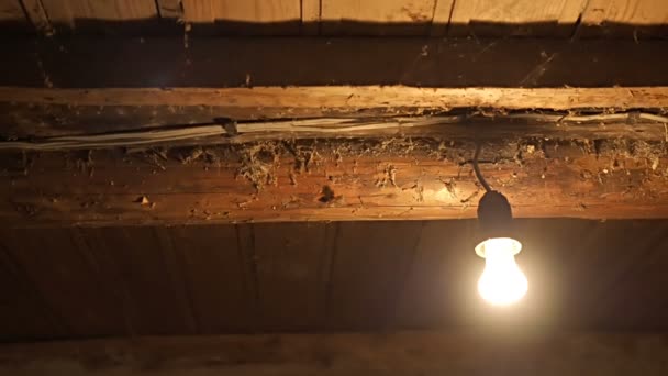 Lampadina lampeggiante Nel vecchio seminterrato della casa — Video Stock