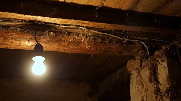 Лампочка в старом подвале дома — стоковое видео