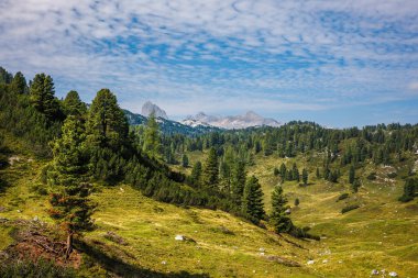 Styria, Avusturya 'da Avrupa Alpleri. Arka planda mera ve görkemli Dachstein dağları olan manzara. Yürüyüş için yaz seyahatleri