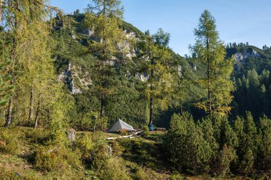 Yaz yürüyüşü sırasında dağ ormanlarında çok hafif bir çadırla kamp yapmak. Doğadaki macera