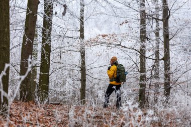 Sırt çantalı sarı ceketli yürüyüşçü, buzlu ormanlık alanda yürüyor. Kış ormanlarında yürüyüş.