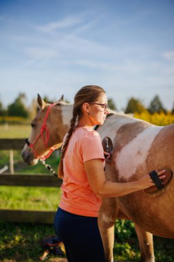 Çayırda at fırçalayan kadın. Dişi hayvan tımarcısı çiftlikte boya atıyla ilgilenir.