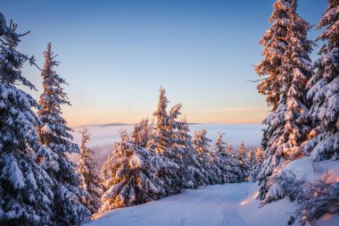 Kışın gün batımında dağ ve orman. Karla kaplı ağaçlar ve vadide sis varken manzarada altın saat. Doğal arkaplan