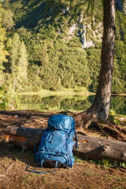 Avusturya Alp Dağları 'ndaki ormanda yürüyüş yaparken. Seyahat ve yürüyüş ekipmanları