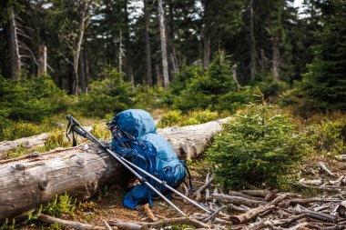 Ormanda yürürken üzerinde tripod ve yürüyüş direği olan mavi bir sırt çantası. Yürüyüş için açık hava ekipmanları