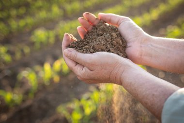 Çiftçi elinde kuru toprak tutuyor ve tarım alanındaki verimliliği kontrol ediyor. Kuraklık ve iklim değişikliğinin tarım üzerindeki etkisi
