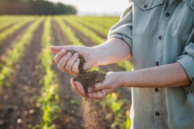 Tarım alanında kuraklık. Çiftçi elinde kuru toprak tutuyor ve verimliliği kontrol ediyor. İklim değişikliğinin tarım üzerindeki etkisi