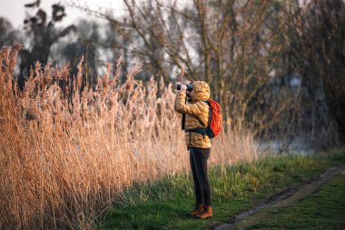 Kadın doğa bilimci dürbünle kuşları izliyor. Göl kenarında yürüyüş ve yaban hayatı gözlemi