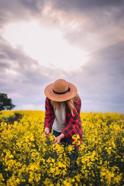 Çiftçi tarlada çiçek açan kolza tohumlarını inceliyor. Çiçek açan yağ tohumu tecavüz mahsulünün tarımcı kadın kontrolü