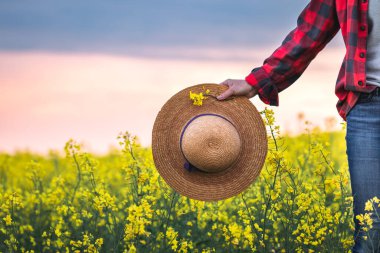 Hasır şapkalı kadın çiftçi gün batımında kolza tarlasında yürüyor. İlkbaharda kırsal alan. Çiçekli yağ tohumlu tecavüz bitkileri