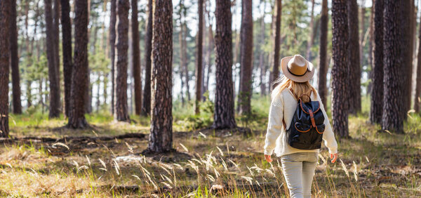 Woman with hat and backpack hiking in woodland. Adventure in nature. Panoramic view at female tourist walking in forest alone