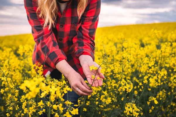 Kadın çiftçi tarlada çiçek açan kolza tohumu bitkilerini inceliyor. Kadın tarım uzmanı, yağlı tohumlu tecavüz mahsulünün büyümesini kontrol ediyor.