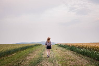 Çiftçi mısır gevreği bitkisiyle tarımsal tarlaları inceleyip inceliyor. Hasır şapkalı ve dijital tabletli bir kadın organik tarlasında yürüyor.