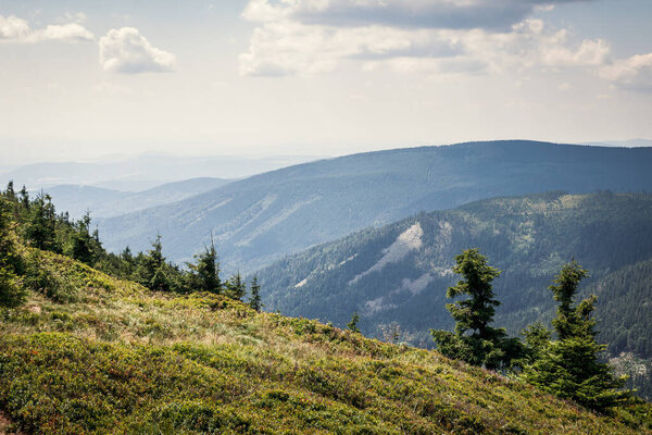 View at mountain range from Red hill at summer day. Nature in Jeseniky mountains, Czech Republic