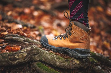 Deri yürüyüş botu. Çoraplı kadın sonbahar ormanında yürüyor. Spor giysileri.