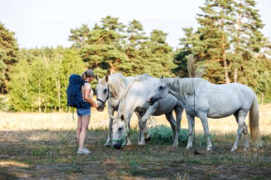 Yazın doğa yürüyüşü sırasında beyaz atlarla oynayan bir kadın.