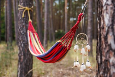 Ormandaki ağaçların arasında asılı hamak ve düş kapanı